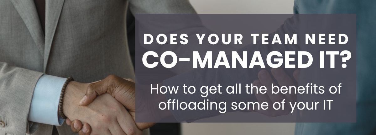 co-managed IT co-managed IT