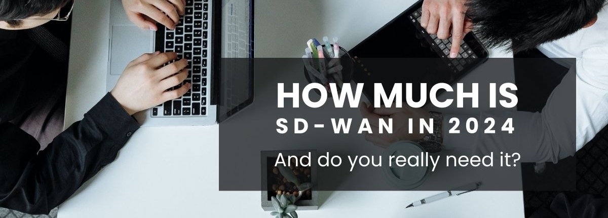 How much is SD-WAN in 2024