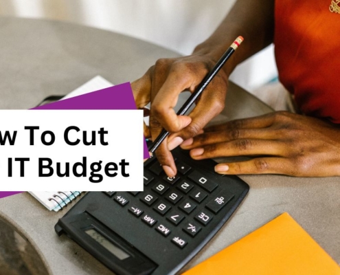 Woman with calculator to illustrate how to cut your IT budget