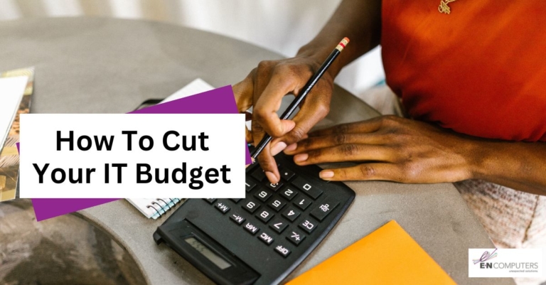 Woman with calculator to illustrate how to cut your IT budget