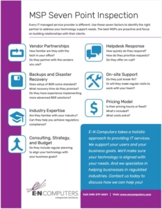 Image of the IT MSP inspection checklist