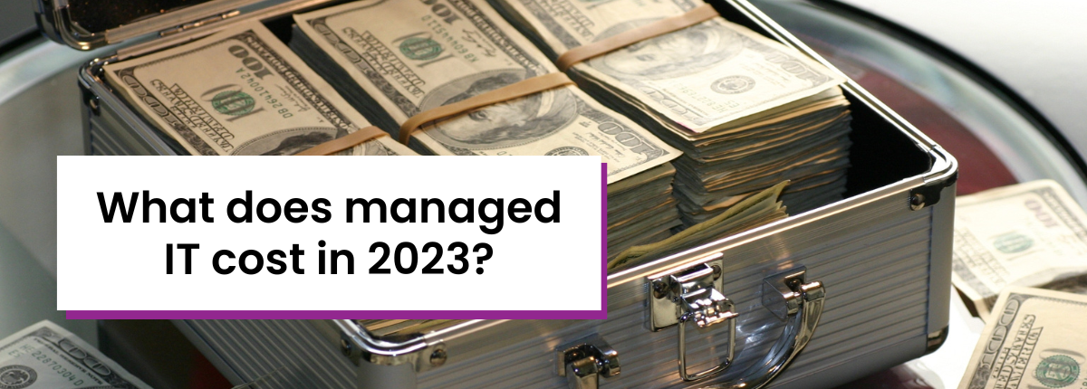 What do managed IT services cost in 2023?