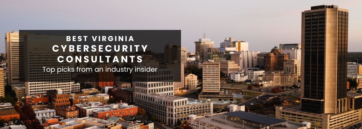 Best cyber consultants VA