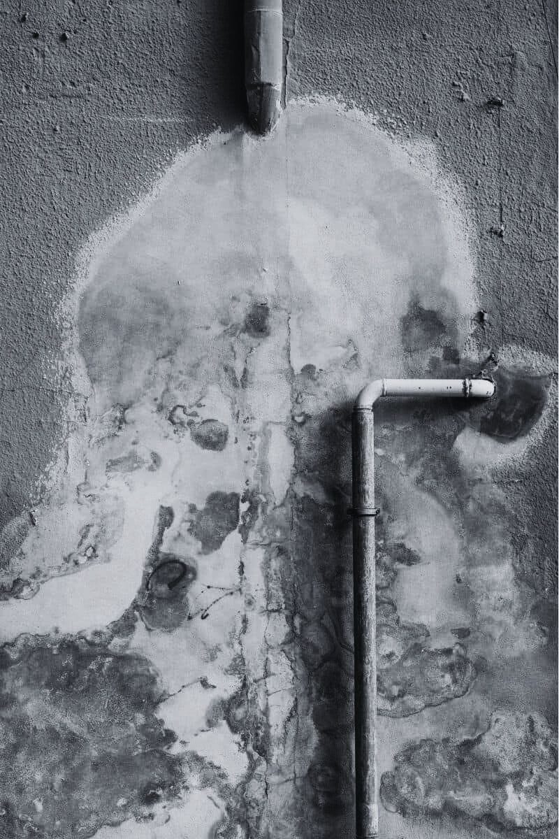 Basic-plan-clients-BW